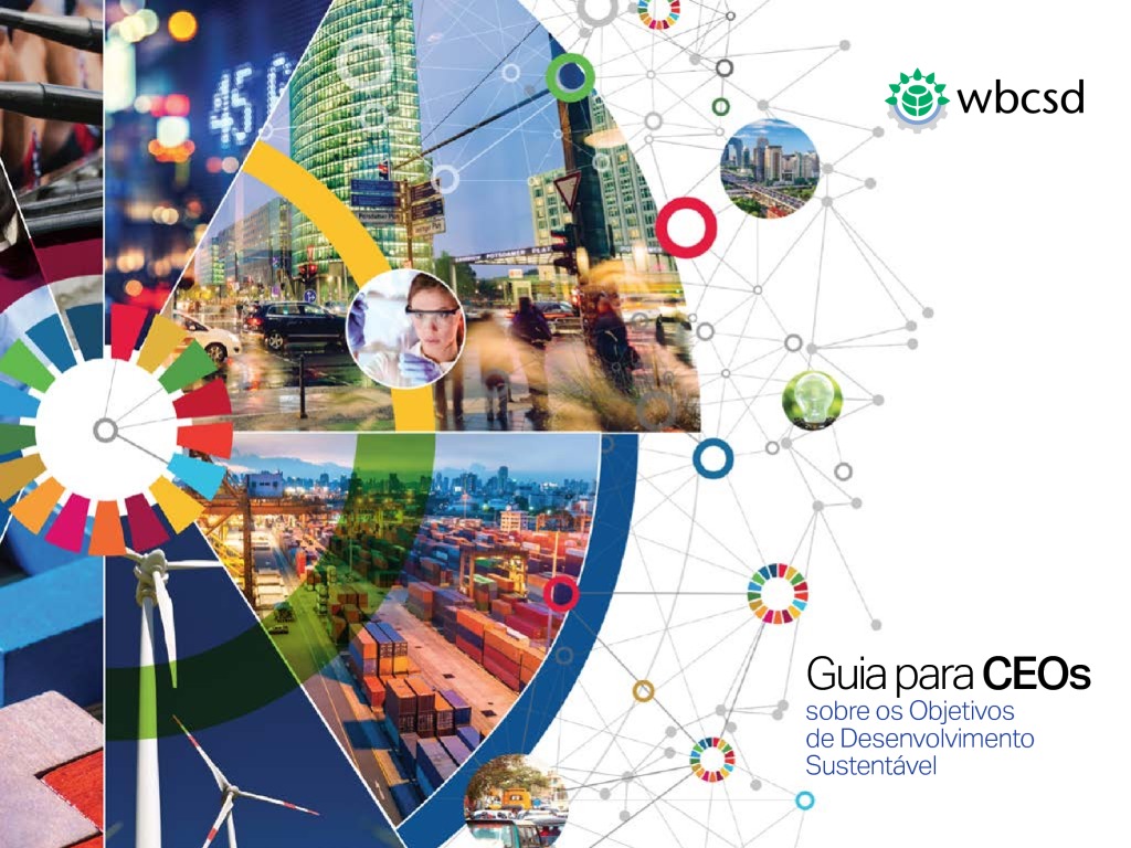 thumbnail of CEO_Guide_to_the_SDGs_Brazil