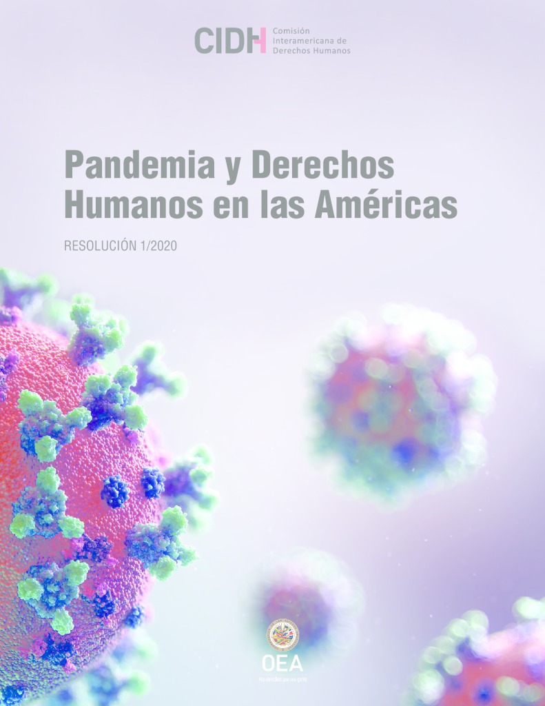 thumbnail of ID_58 Pandemia y Derechos Humanos en las Américas